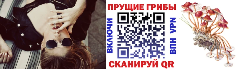 блэк спрут ТОР  Гусиноозёрск  Галлюциногенные грибы Cubensis  где найти наркотики 
